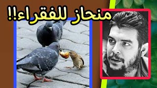 منحاز أنا للفقراء؟ | من اروع اقوال واقتباسات وحكم الثائر تشي جيفارا | على ظهر كتاب