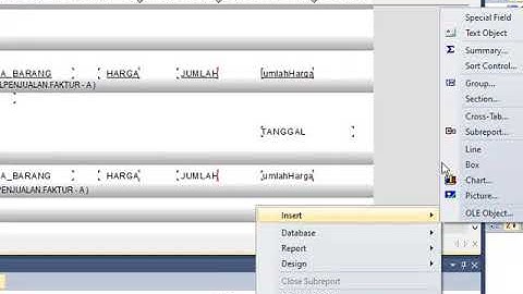 Membuat Laporan Penjualan VB 2010 Crystal Report Access