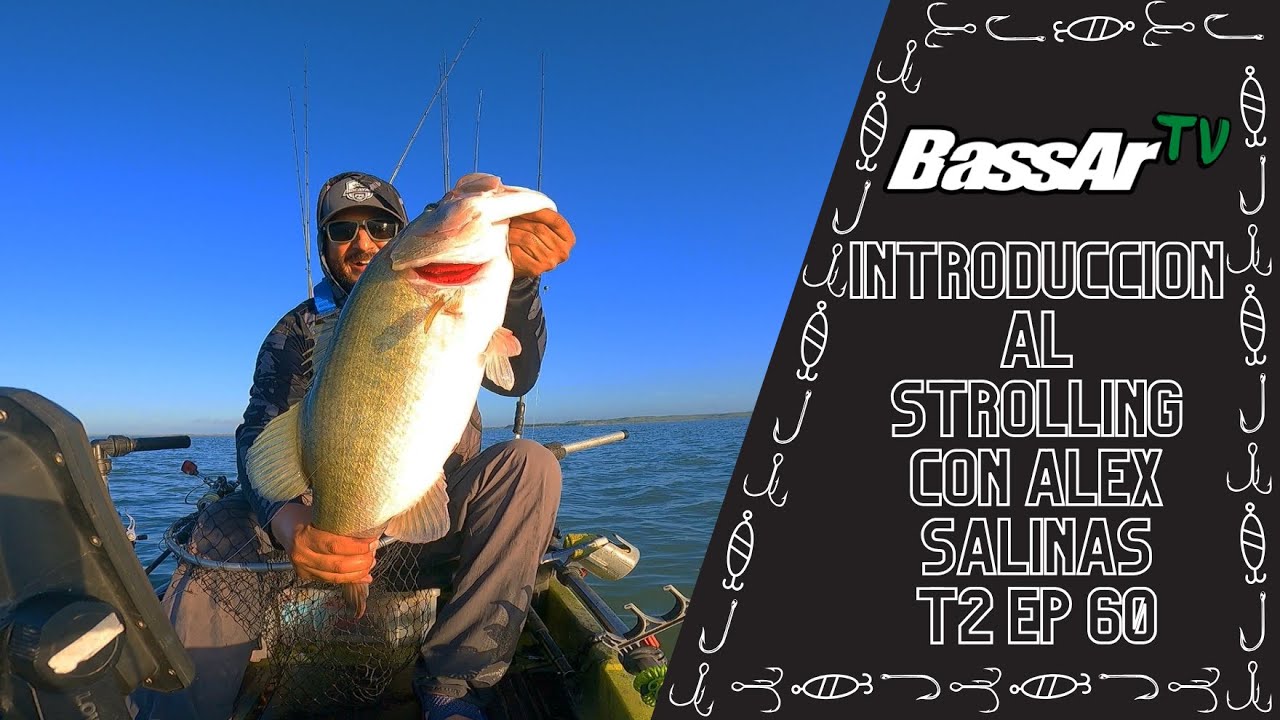 BassAr Tv T2 Ep 60 Introduccion al Strolling con Alex Salinas