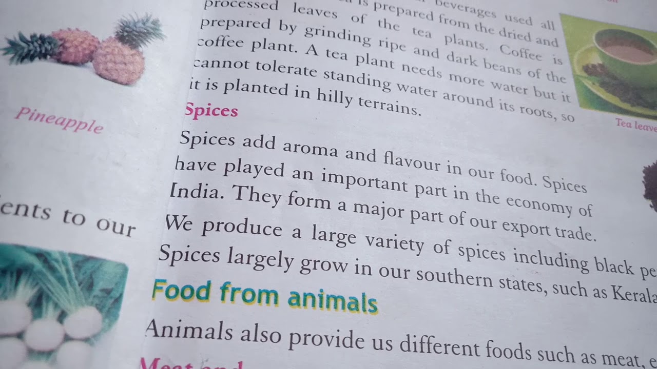 Sources of food (spices) - YouTube