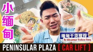 Singapore's LITTLE BURMA? | Crazy Hairwash Experience + Burmese Foods | 新加坡的小缅甸 Peninsula Plaza