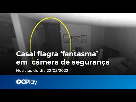 Vídeo: Fotos impressionantes capturam as almas sem idade dos cães idosos