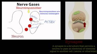 Nerve Gases.