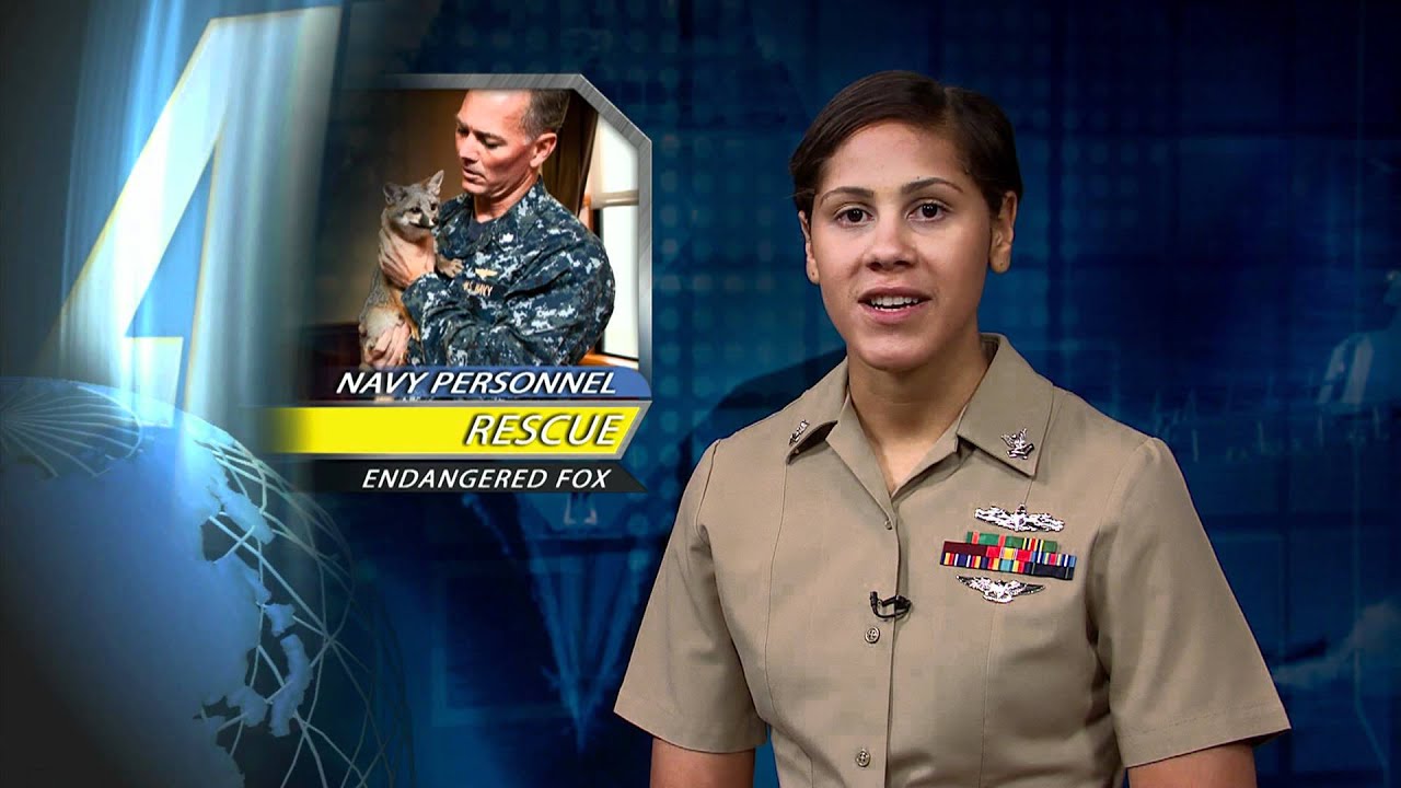 All Hands Update June 8, 2012 #4