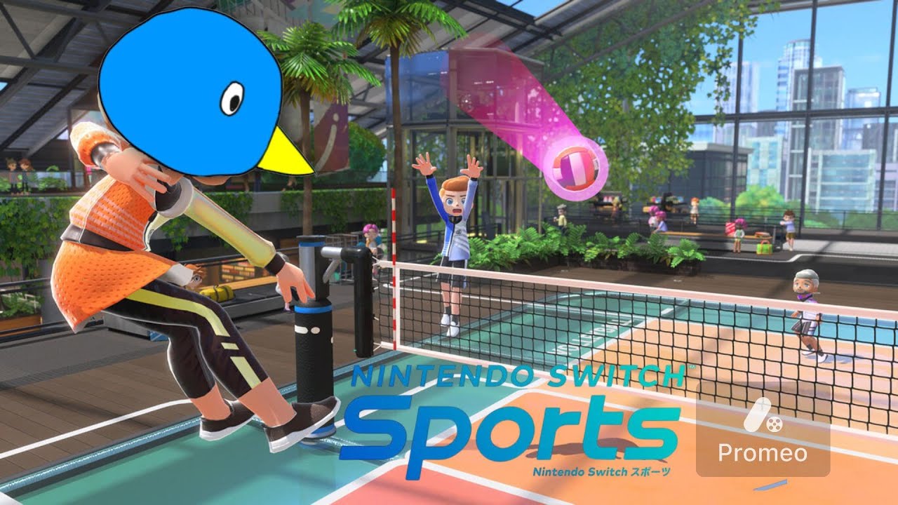 ハイキュー読者によるバレーボールがカオスすぎた【Switchスポーツ】