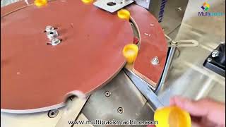 Automatic Induction Wad Inserting Machine | Precision Cap Lining