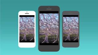 Microsoft Xim photo sharing app screenshot 1