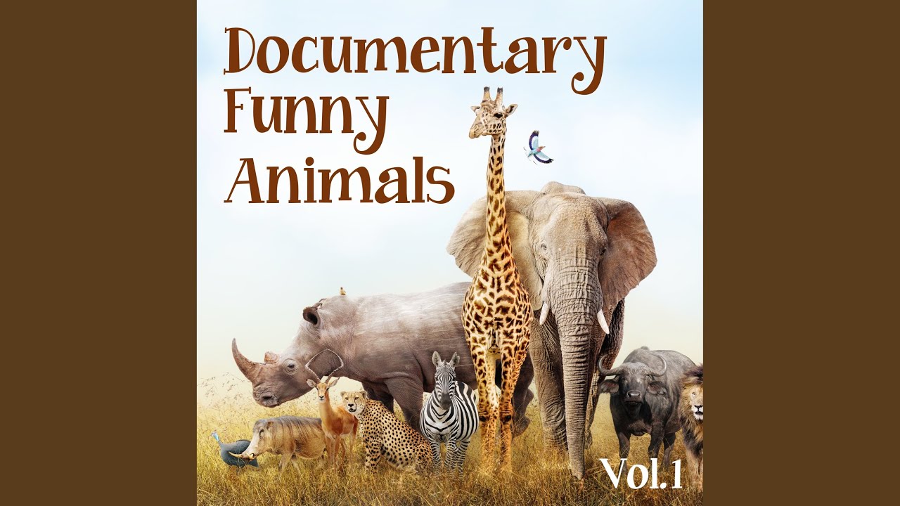 Regardez Tiny Things sur YouTube Regardez Tiny Things sur YouTube