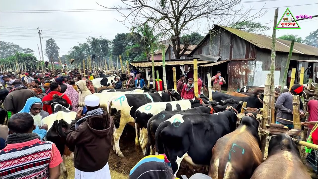 ২৭/০১/২৬