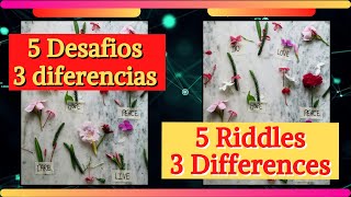 Descubre las diferencias - Find the differences screenshot 4