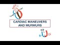 Cardiac Murmurs and Maneuvers: Valsalva, Handgrip, Squatting, Inspiration + Quiz