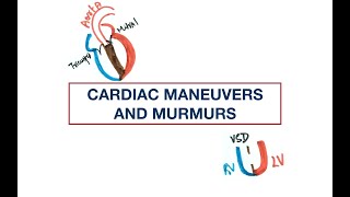 Cardiac Murmurs and Maneuvers: Valsalva, Handgrip, Squatting, Inspiration + Quiz