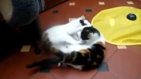 Candice & Catrina 2