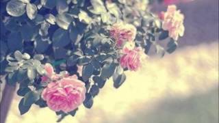 The Eagles - No More Walks In The Wood