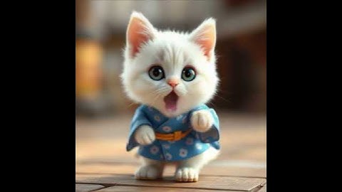 Cute Cat in Kimono Sings “Chibi Maruko-chan” | Adorable Japanese Cat Idol Performance 🐾🎤