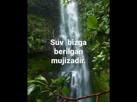 SUV Bizni Poklaydi Ilohiy Sharzhara Bilan Poklaning Shamsiya Shams 