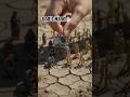 Dry Crops Come Back to Life | Miniature Satisfying Video #miniature #satisfying #tiltshift #diorama
