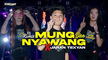 DJ MUNG BISO NYAWANG X JARAN TEXYAN • ERTERUWET OFFICIAL