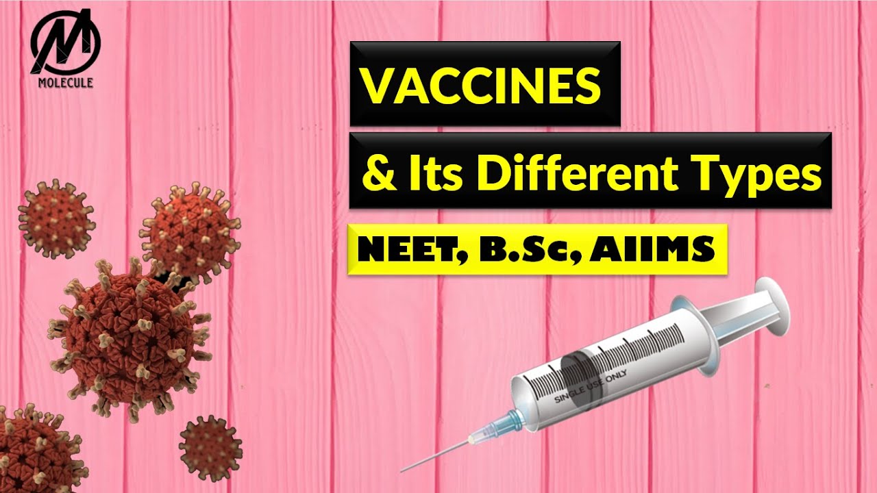 Vaccines || Types of Vaccines || NEET, B.Sc, AIIMS || Immunology Part-4 ...