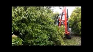 Edge trimmer for pruning orchards /Podadora frutales de cuchillas.