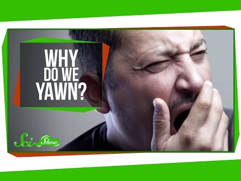 Why Do We Yawn?