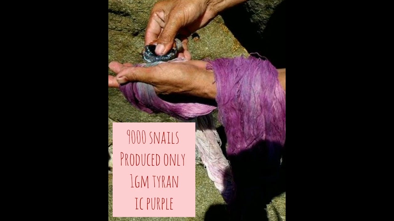 story of purple colour, symbol of royalty 💜