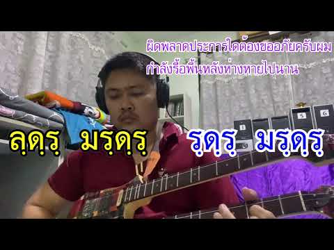 ลายแมลงภู่ตอมดอก พร้อมโน๊ตประกอบ