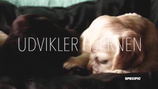 Circle Of Good Fra Specific - Danmark