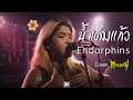   endorphine   middleway cover  high how cafe