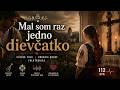 Mal som raz jedno dievčatko (Slovak Folk & Organic House Remix) 💔 | Chodí môj kamarát...