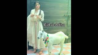 #21July #Eid Al Adha #Mubarak Status | Eid Ul Adha #Coming Soon #Whatsapp #status