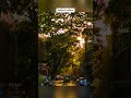 Color Grading Tutorial in Lightroom 📸 @Lightroom #lightroom #bangalore #mobilephotography #edit