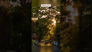 Color Grading Tutorial in Lightroom 📸 @Lightroom #lightroom #bangalore #mobilephotography #edit