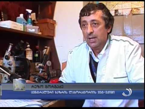 ცხოველების სასაკლაოებს ახალი რეგულაციები უწესდებათ