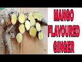 Mango ginger