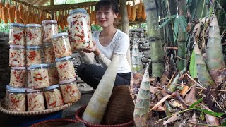 Harvesting bamboo shoots and pickle chili and garlic go to the market to sell - Harvest daily life