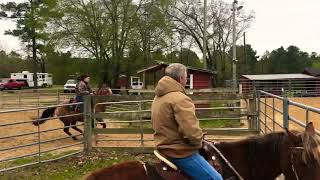 JR/ Kill Pen Rescue out of Bastrop 2016 Wealth