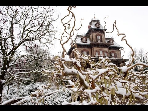 David R: EuroDisney Parijs 2011:  "Beaucoup terrible l'parc Disney'"