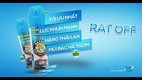 Giải Pháp Đuổi Chuột Hiệu Quả An Toàn Tiết Kiệm Chi Phí