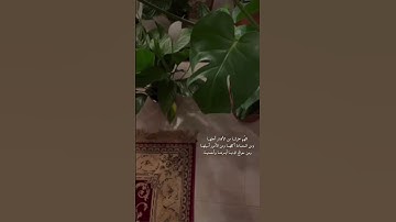 ورفع ابويه على العرش وخروا له سجدا تلاوة القارئ عمر محجوب