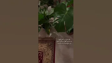 ورفع ابويه على العرش وخروا له سجدا تلاوة القارئ عمر محجوب 