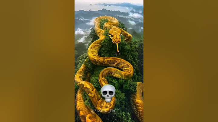 Big Snake 💀