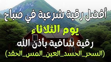 أفضل رقية شرعية في صباح يوم  الثلاثاء علاج الحسد_السحر_العين _حفظ وتحصين للمنزل _القارئ علاء عقل
