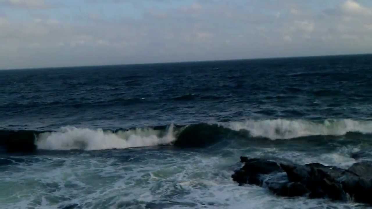 Beavertail 