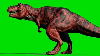 T-Rex Walk - Dinosaur on Green Screen