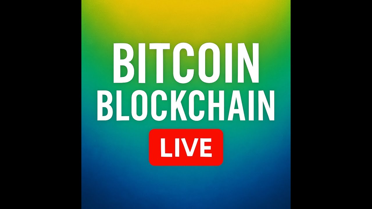 Bitcoin Blockchain Live - Every Transaction, Every Second