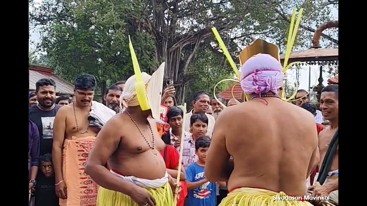 കോതാമൂരി പാട്ട് തുലാം 16 ചെറുകുന്ന് ശ്രീ അന്നപൂർണ്ണേശ്വരി ക്ഷേതത്തിൽ കെട്ടിയാടി (2-11-2025 )