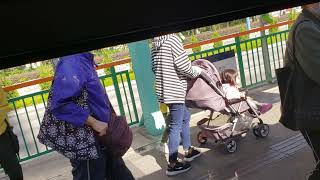 輕鐵第五期列車 1135+1213 @751 天榮至天慈