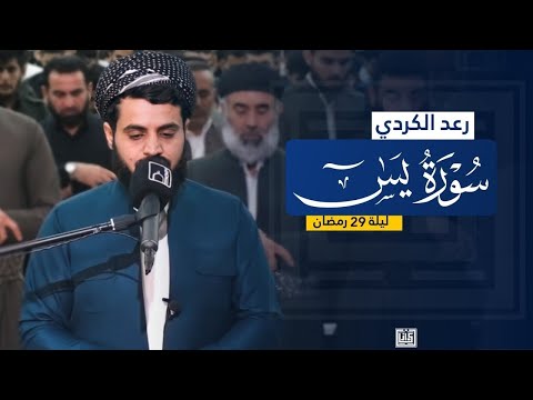 سورة يس كاملة للقارئ رعد الكردي    