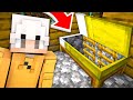 La Mia CASA Ha UN'ENTRATA SEGRETA In Minecraft!